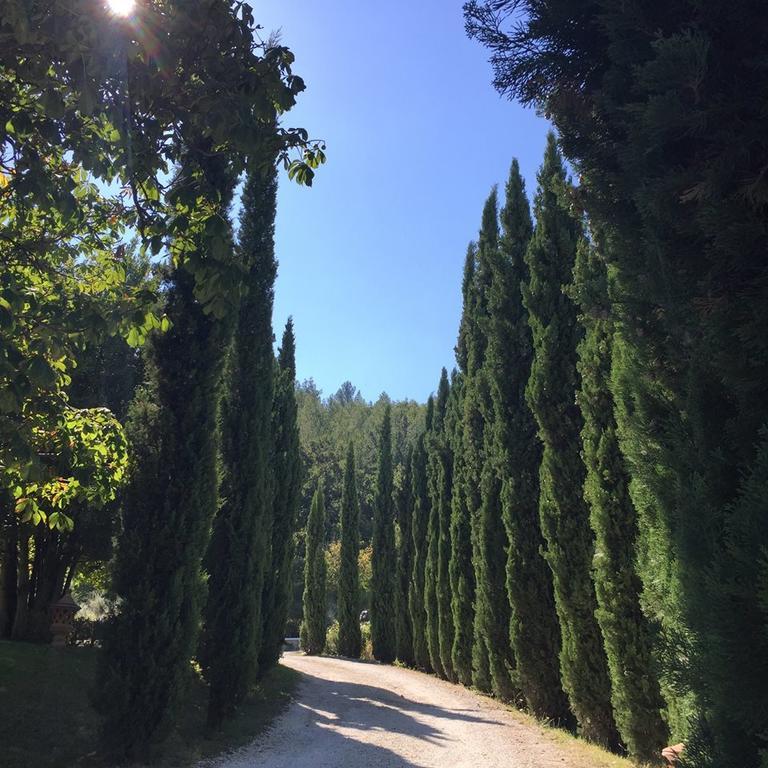 Agriturismo Monastero Di San Biagio Nocera Umbra Buitenkant foto